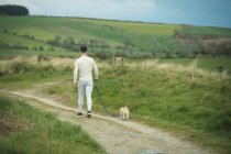 Visão traseira do homem com seu cão andando no campo — Fotografia de Stock