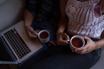 Seção intermediária do casal que toma chá de limão enquanto usa laptop em casa — Fotografia de Stock
