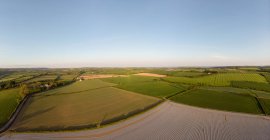 Вид на величезне поле з сонячним днем — стокове фото