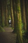 Vue arrière cycliste à vélo à travers la forêt luxuriante — Photo de stock