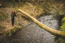 Hermosa excursionista femenina mirando el río poco profundo en el bosque - foto de stock