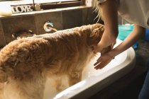 Дівчина прибирає собаку у ванній вдома — стокове фото