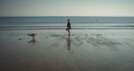Mulher brincando com cão na praia em um dia ensolarado — Fotografia de Stock