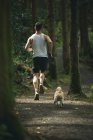 Vista posteriore dell'uomo che fa jogging con il suo cane in una foresta lussureggiante — Foto stock