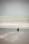 Surfista sentado en la tabla de surf en la playa y mirando al mar en un día soleado - foto de stock