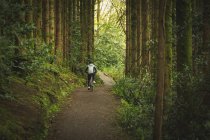 Visão traseira da bicicleta ciclista andando através da floresta exuberante — Fotografia de Stock