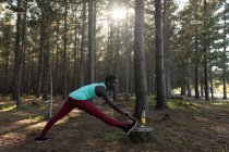 Athlète féminine déterminée faisant de l'exercice d'étirement dans la forêt — Photo de stock