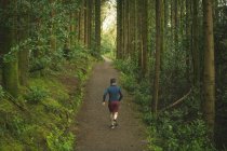 Rear view of man jogging in lush forest — Stock Photo