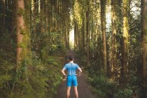 Vista posteriore dell'uomo in piedi nella foresta in una giornata di sole — Foto stock