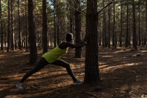 Determined female athlete working out in the forest — Stock Photo