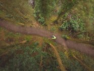 Вид с воздуха на велоспорт человека в лесу — стоковое фото