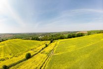 View of field on a hill slope on a sunny day — Stock Photo