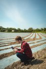 Людина використовує цифровий планшет в полі в сонячний день — стокове фото