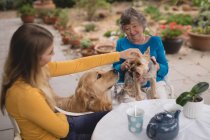 Внучка и бабушка ласкают собаку на заднем дворе — стоковое фото
