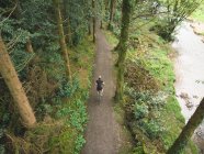 Aérea de ciclista montar en bicicleta a través de exuberante bosque - foto de stock