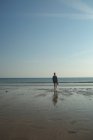 Вид сзади женщины, стоящей на морском пляже в солнечный день — стоковое фото