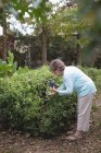 Старша жінка фотографує рослини з мобільним телефоном — стокове фото