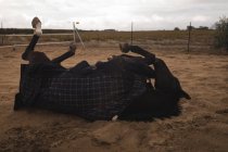 Domestiziertes Pferd auf der Ranch — Stockfoto