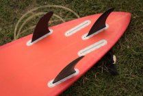 Nahaufnahme der Surfbrettleine auf einem Gras — Stockfoto