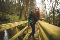 Beautiful female hiker with backpack looking around in the forest — Stock Photo
