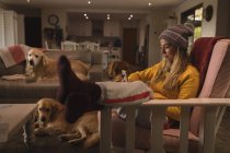 Menina com cães usando telefone celular na sala de estar em casa — Fotografia de Stock