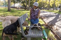 Mujer joven sentada con banco del parque jugando con perros de compañía - foto de stock