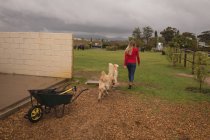 Rückansicht eines Mädchens mit Hund, das in Richtung Ranch läuft — Stockfoto