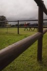 Adolescente caminando con caballo en el rancho - foto de stock