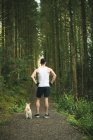 Вид ззаду чоловіка, що стоїть зі своєю собакою в пишному лісі — стокове фото