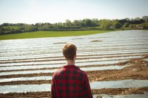 Rear view of man standing in the field — Stock Photo