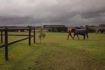 Девочка-подросток, идущая с лошадью на ранчо — стоковое фото