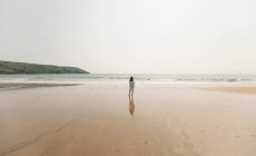 Вид ззаду жінки на пляжі в сонячний день — стокове фото