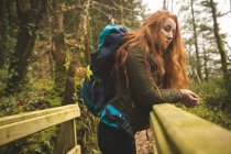 Красива жінка-пішохідка з рюкзаком, який дивиться навколо в лісі — стокове фото