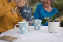 Внучка и бабушка пьют чай на заднем дворе — стоковое фото