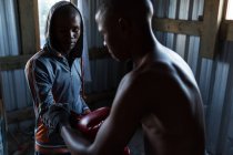 Entrenador que ayuda al boxeador masculino a usar guantes de boxeo en el gimnasio - foto de stock