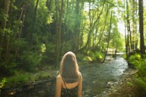 Visão traseira da mulher em pé perto da costa do rio na floresta verde — Fotografia de Stock