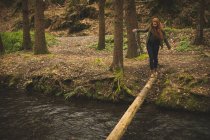 Randonneuse marchant sur le tronc d'arbre tombé à travers la rivière dans la forêt — Photo de stock