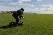 Тренер тренирует пастушью собаку в поле в солнечный день — стоковое фото