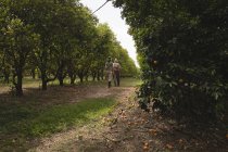 Vue arrière des agriculteurs marchant dans la ferme orange — Photo de stock