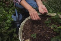 Frau sät Samen im Garten aus — Stockfoto