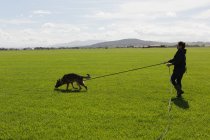 Entrenador entrenando al perro pastor en el campo en un día soleado - foto de stock