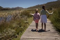 Rear view of siblings walking with mobile phone on jetty — Stock Photo
