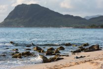 Пляж со скалами и горами в Лава Лава, Гавайи, США — стоковое фото