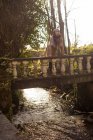 Задумчивая женщина, опирающаяся на пешеходный мост в лесу — стоковое фото