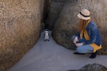 Женщина приседает и смотрит на пингвина на пляже — стоковое фото