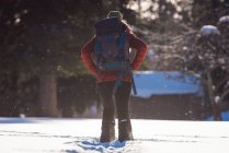 Visão traseira da mulher em pé na paisagem coberta de neve durante o inverno — Fotografia de Stock