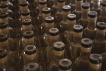Бутылки джина расположены в ряд на заводе — стоковое фото