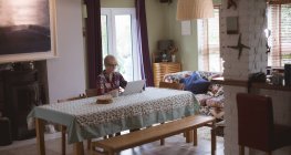 Ältere Frau benutzt Laptop im Wohnzimmer zu Hause — Stockfoto