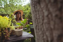 Задуманная женщина, работающая в саду в солнечный день — стоковое фото