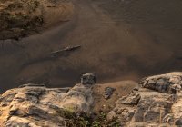 Vista de alto ángulo del cocodrilo en el río en un día soleado - foto de stock